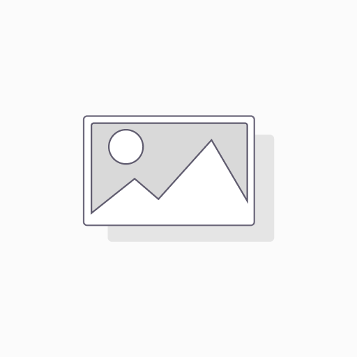 Monthly Consulting Services